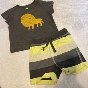 Tea 6-9 Month Shorts and Lion T-shirt Outfit